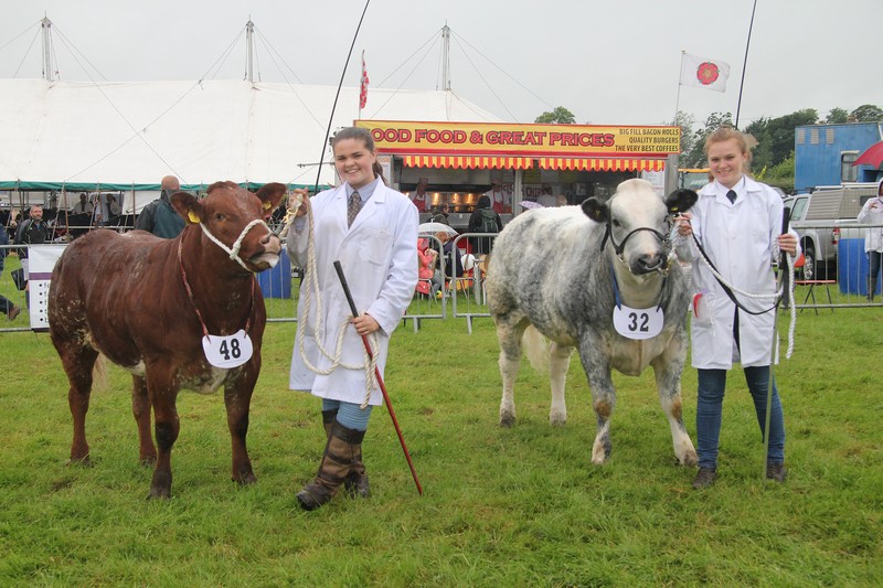 Goosnargh & Longridge Agricultural Show - farmers cattle