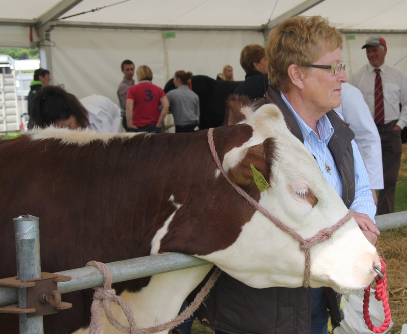 Goosnargh & Longridge Agricultural Show - farmers cattle