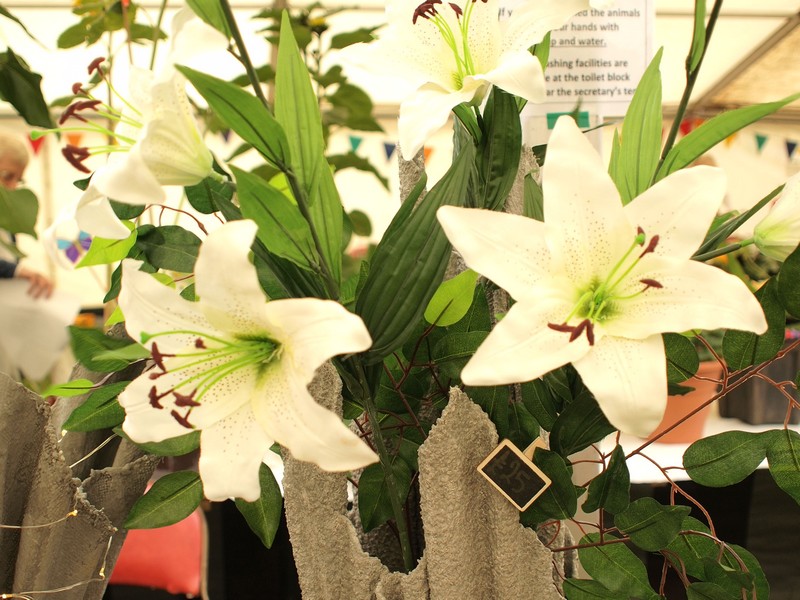 Goosnargh & Longridge Agricultural Show - Horticultural