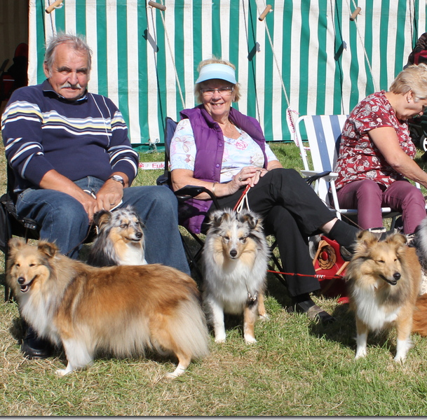 Goosnargh & Longridge Agricultural Show - pedigree dogs