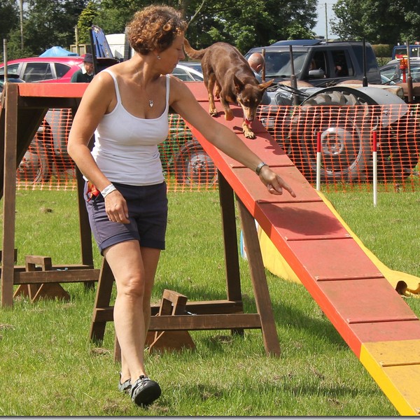 Goosnargh & Longridge Agricultural Show - pet dogs