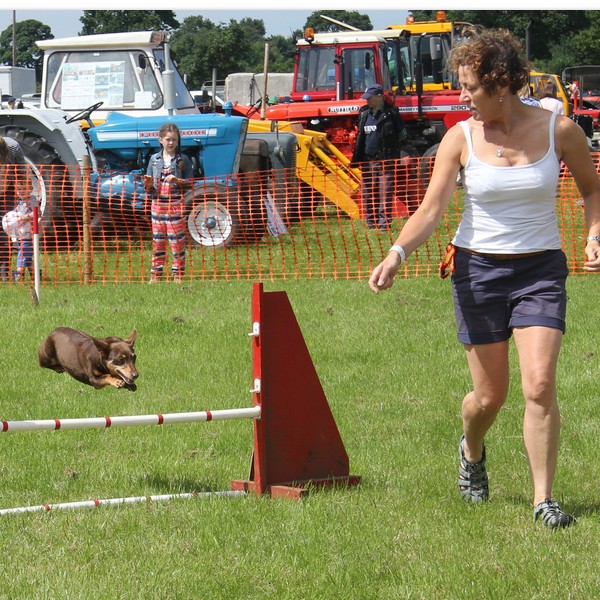 Goosnargh & Longridge Agricultural Show - pet dogs