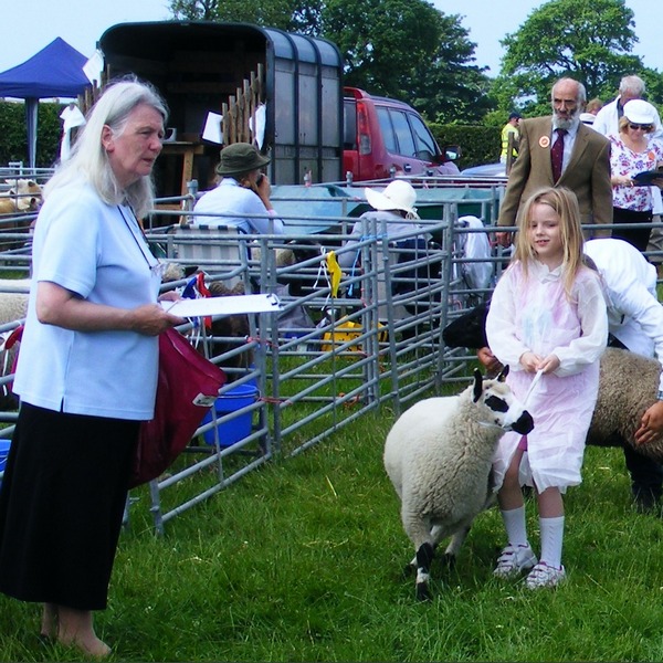 Goosnargh & Longridge Agricultural Show - sheep