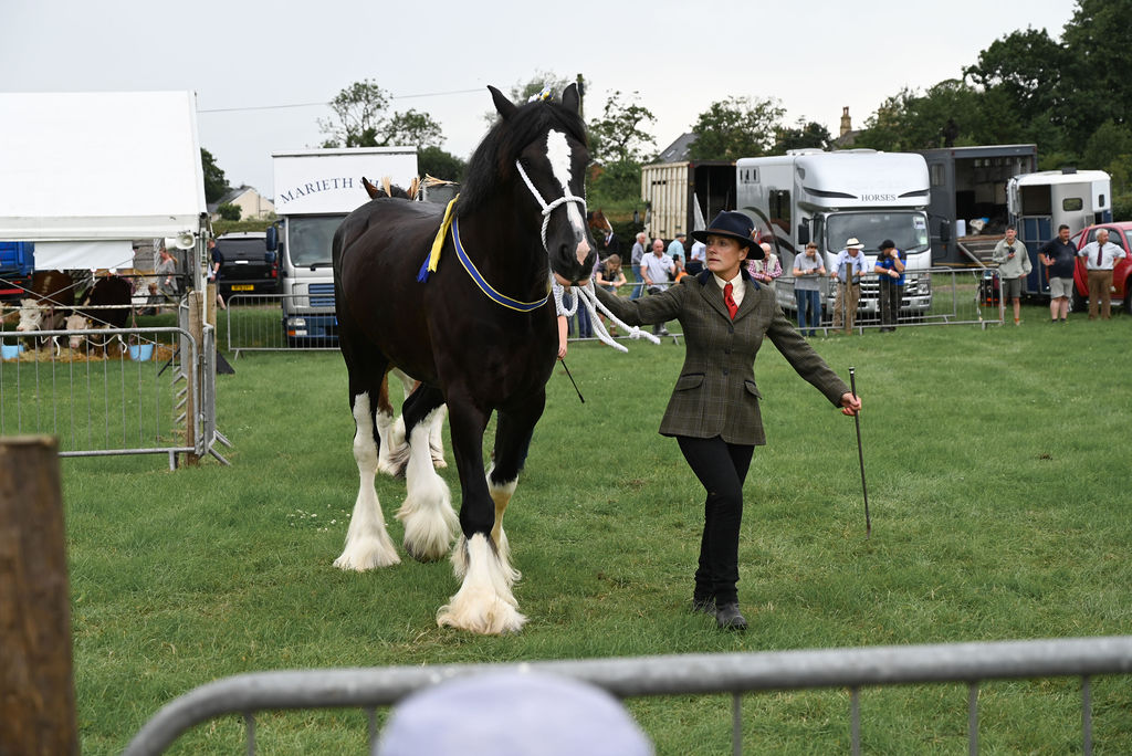 Goosnargh & Longridge Agricultural Show - Heavy Horses and Shire image