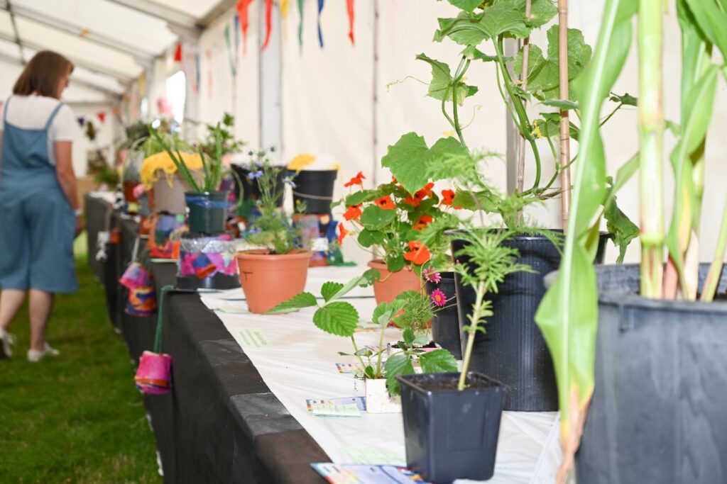 Goosnargh & Longridge Agricultural Show - Horticultural